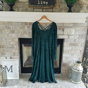 Brett Alixander Gorgeous Velvet Dress